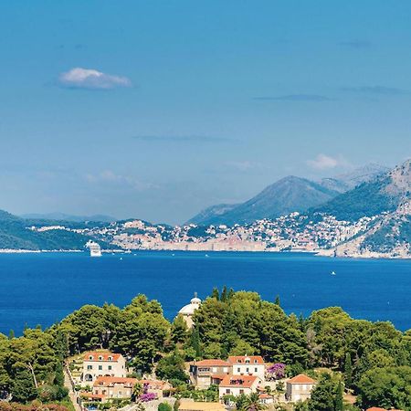Amazing Apartment In Cavtat With House Sea View Εξωτερικό φωτογραφία